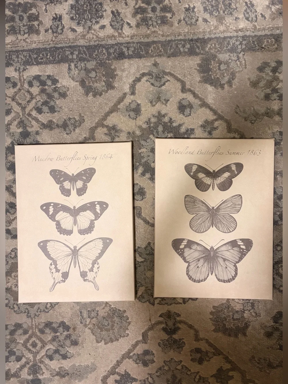 Vintage Butterfly Wall Art Prints in Beige and Gray - Unbranded